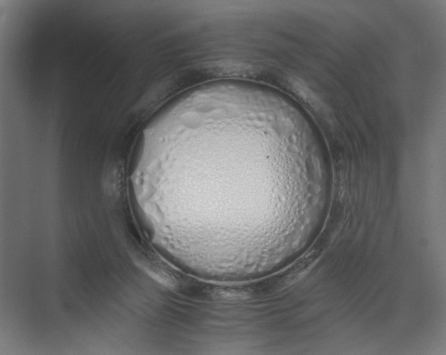 X0000073470165200608181340