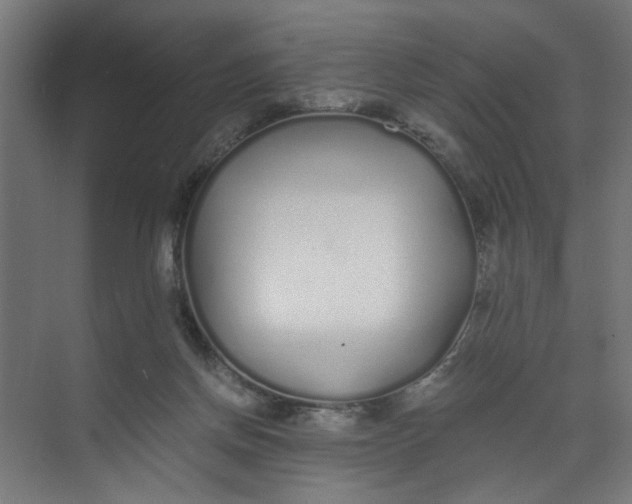 X0000073470166200608181340