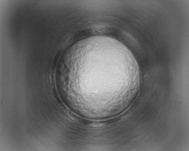X0000073470169200608181340