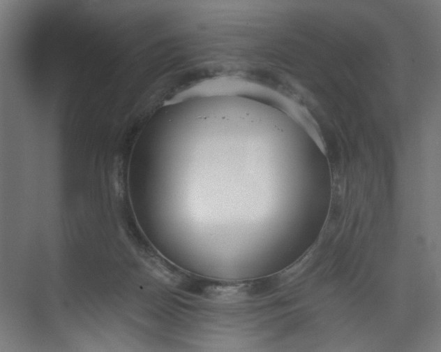 X0000073470170200608181340
