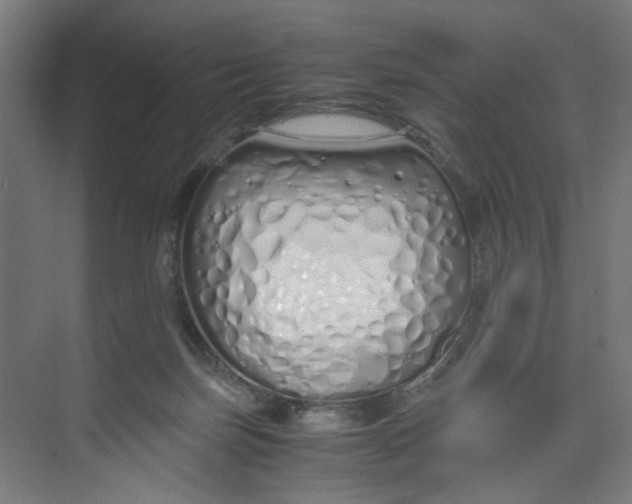 X0000073470171200608181340