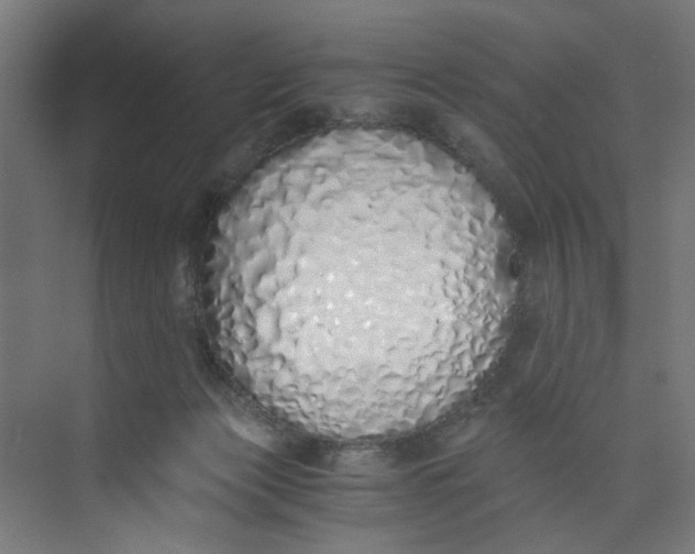 X0000073470173200608181340