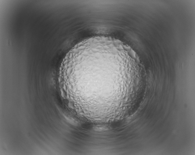 X0000073470175200608181340