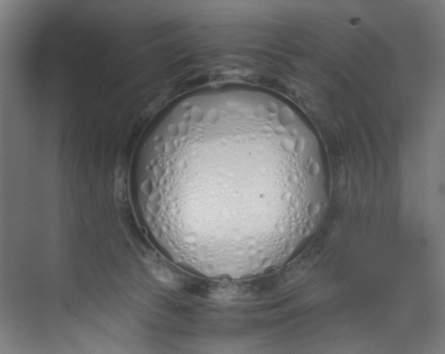 X0000073470177200608181340