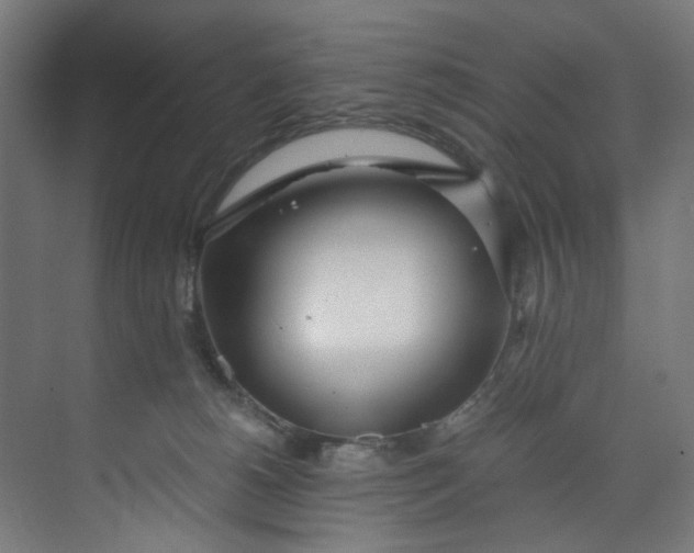 X0000073470180200608181340