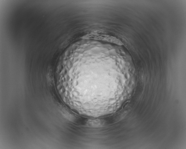 X0000073470181200608181340