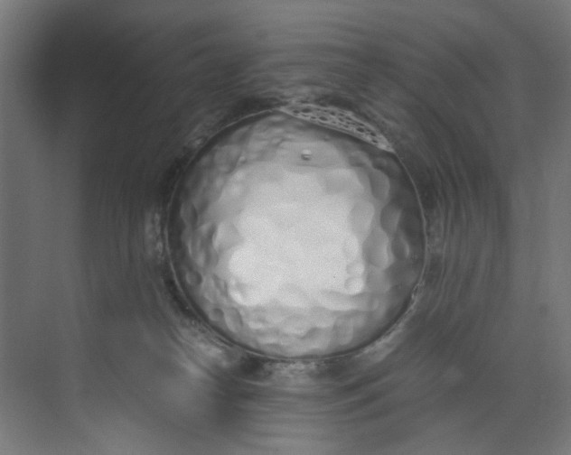 X0000073470182200608181340