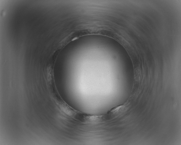 X0000073470184200608181340