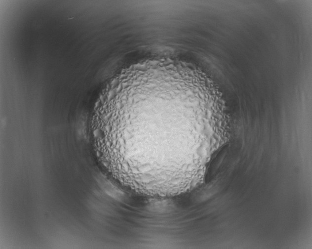 X0000073470185200608181340