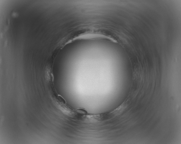 X0000073470188200608181340