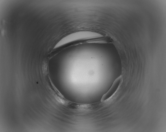 X0000073470192200608181341
