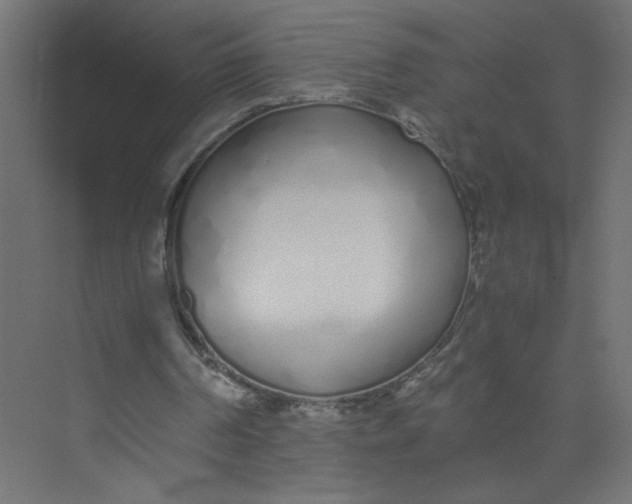 X0000073470194200608181340
