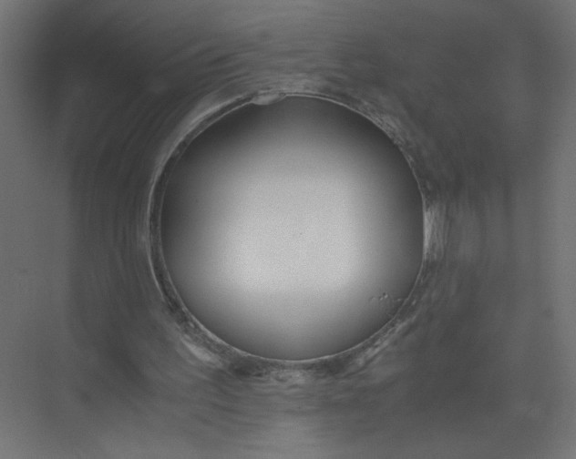 X0000073470195200608181340