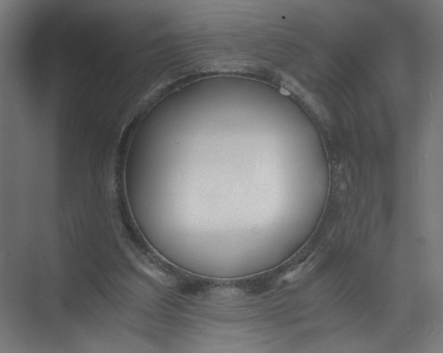 X0000073470203200608181340