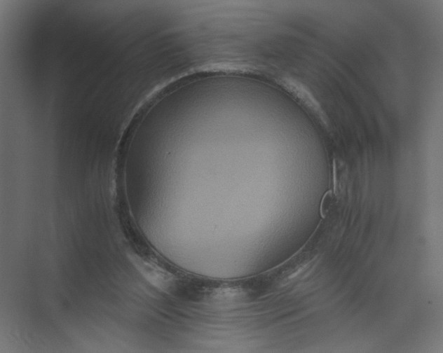 X0000073470204200608181340