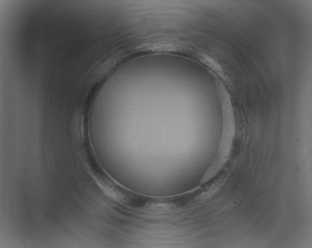 X0000073470205200608181339