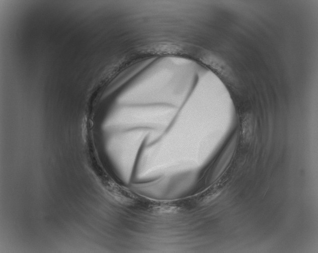 X0000073470206200608181339