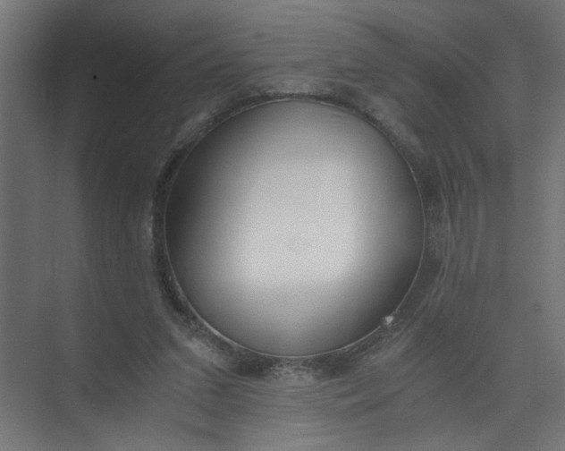 X0000073470207200608181339