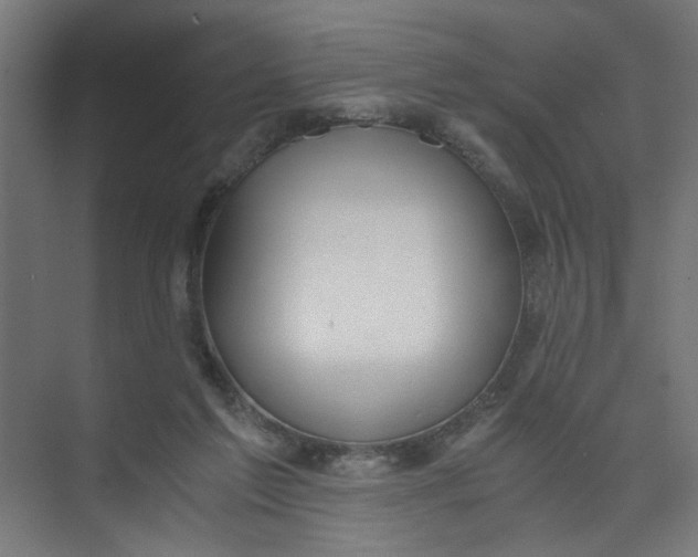 X0000073470213200608181339