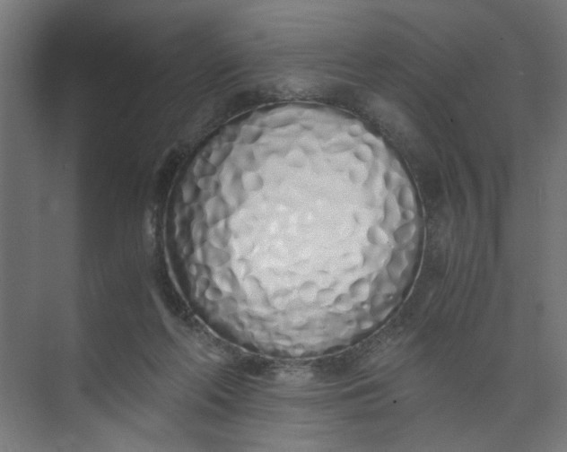 X0000073470214200608181339