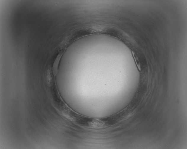 X0000073470215200608181339