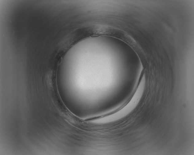 X0000073470217200608181339