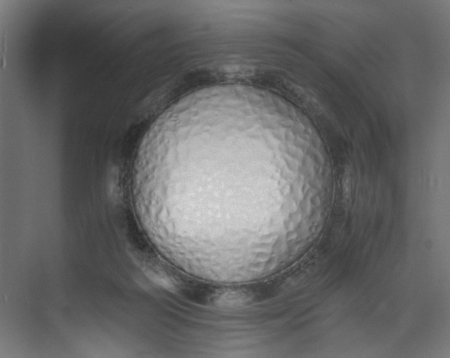 X0000073470218200608181339