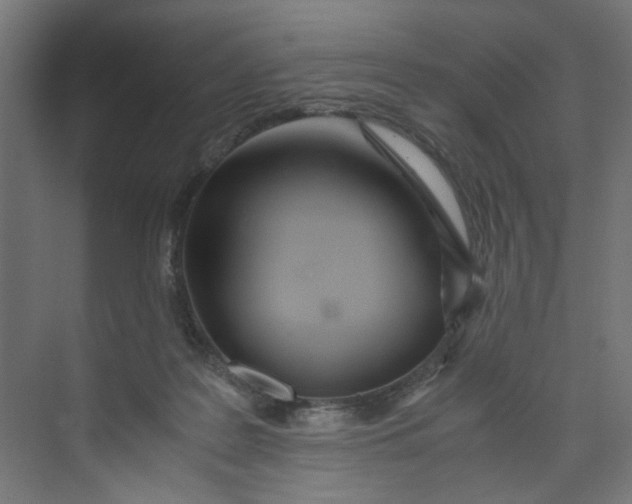 X0000073470219200608181339