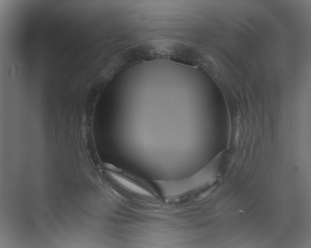 X0000073470223200608181339