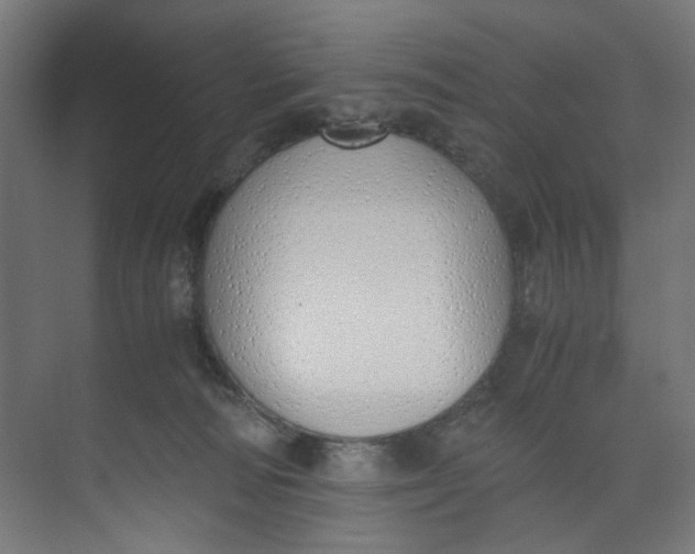 X0000073470226200608181339