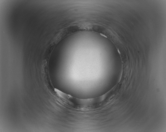 X0000073470229200608181339