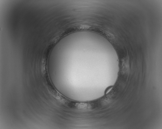 X0000073470230200608181339