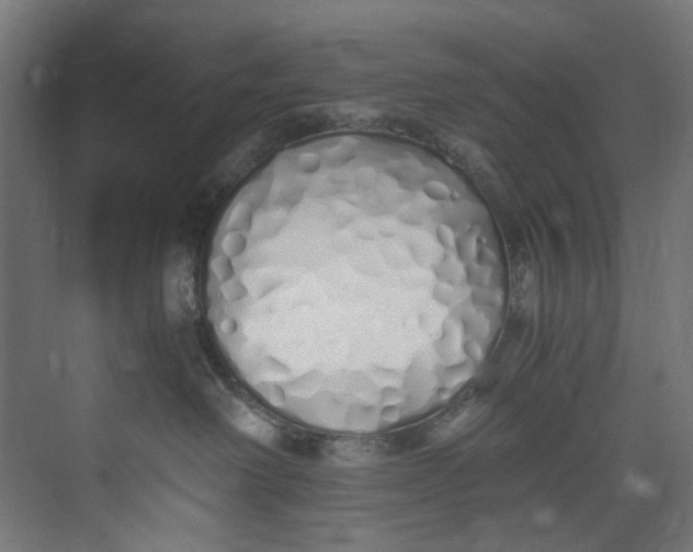 X0000073470238200608181339