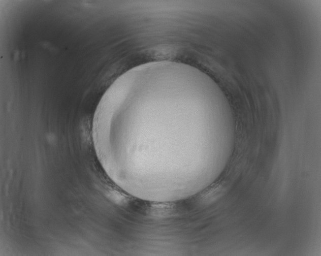 X0000073470240200608181339