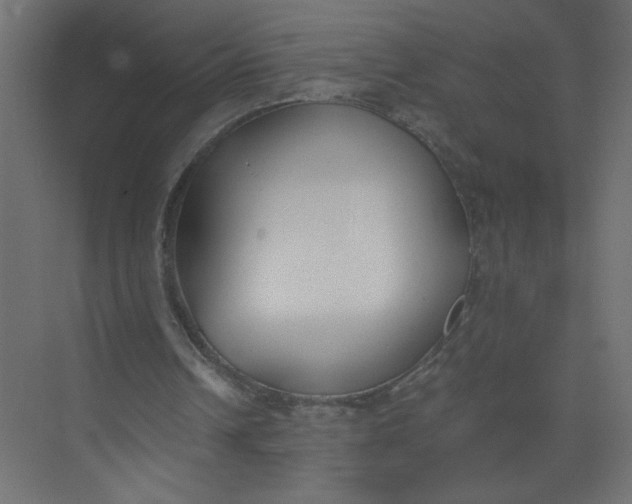 X0000073470242200608181338