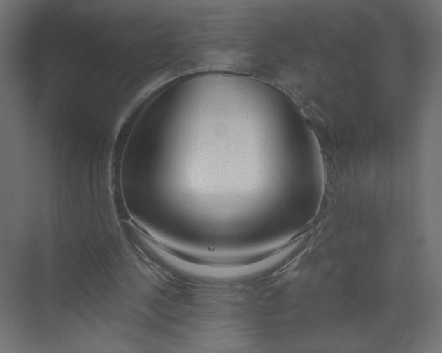 X0000073470244200608181338