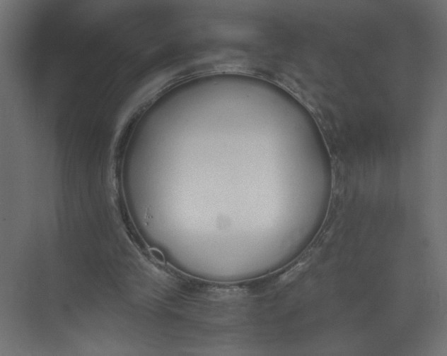 X0000073470245200608181338