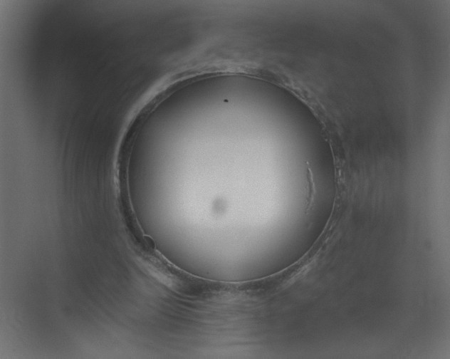 X0000073470246200608181338