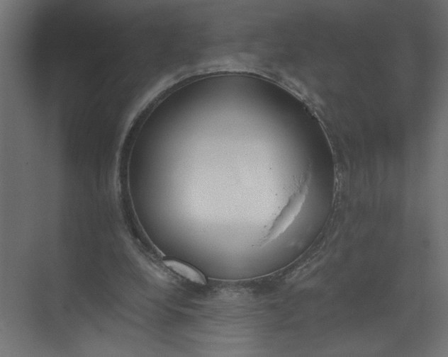 X0000073470248200608181338