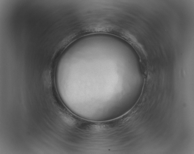 X0000073470250200608181338