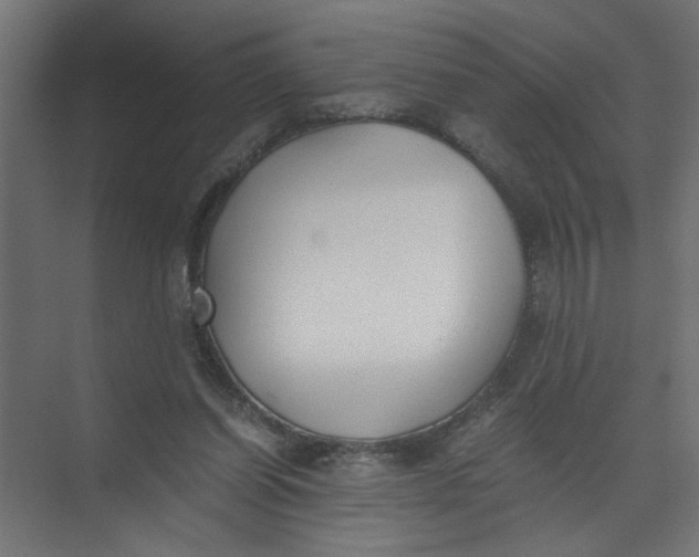 X0000073470254200608181338