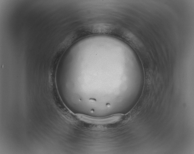 X0000073470258200608181338
