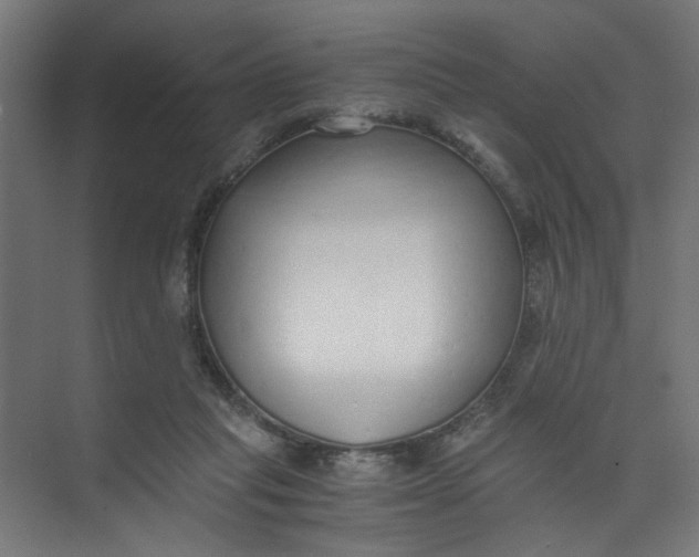 X0000073470261200608181338