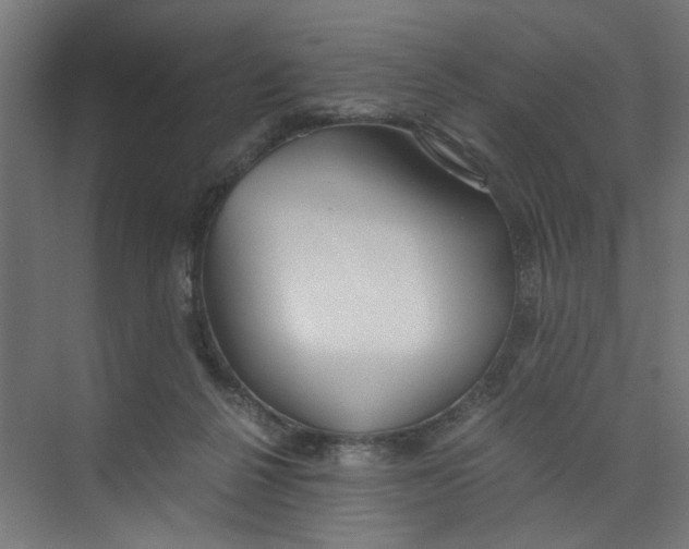 X0000073470264200608181338