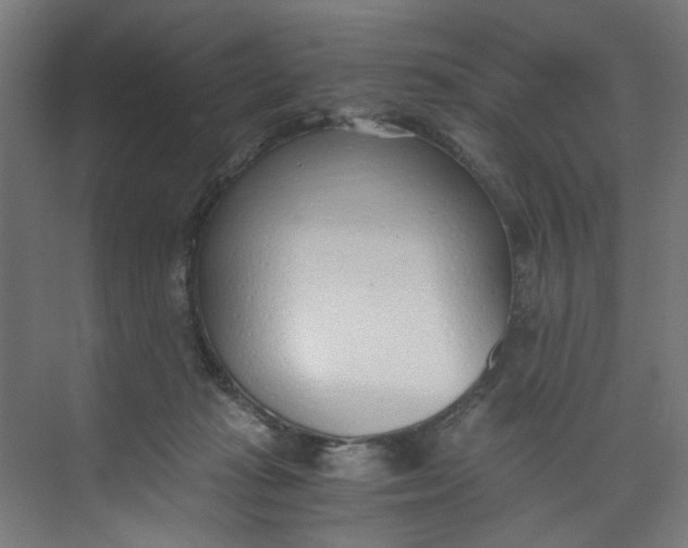 X0000073470269200608181339
