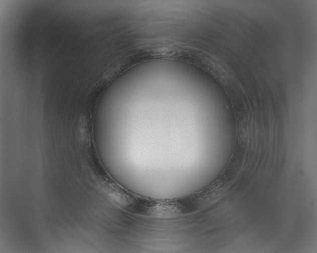 X0000073470270200608181339