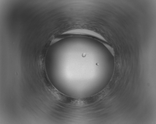 X0000073470276200608181339