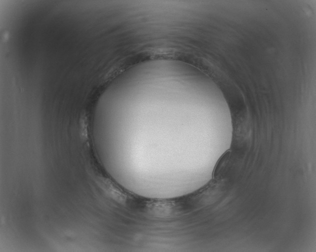 X0000073470282200608181339