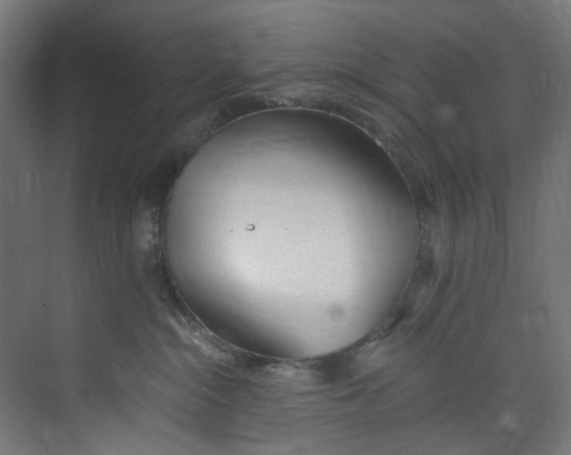X0000073470284200608181339