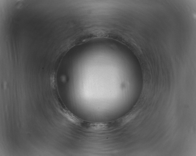 X0000073470288200608181339